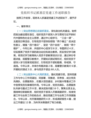 党组织书记抓基层党建工作述职报告