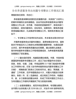 全市养老服务突出问题专项整治工作情况汇报