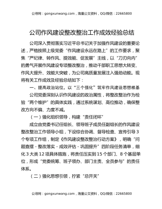 公司作风建设整改整治工作成效经验总结