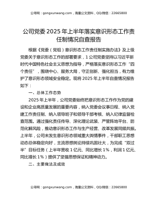 公司党委2025年上半年落实意识形态工作责任制情况自查报告