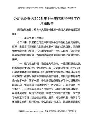 公司党委书记2025年上半年抓基层党建工作述职报告