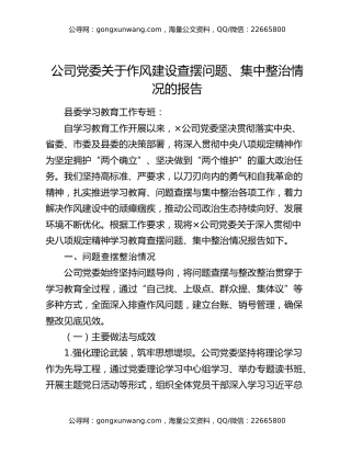 公司党委关于作风建设查摆问题、集中整治情况的报告