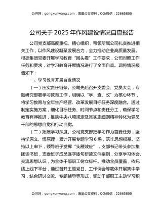 公司关于2025年作风建设情况自查报告