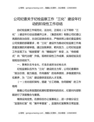 公司纪委关于纪检监察工作“三化”建设年行动的阶段性工作总结