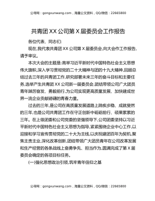 共青团XX公司第X届委员会工作报告