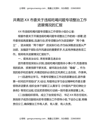 共青团XX市委关于违规吃喝问题专项整治工作进展情况的汇报