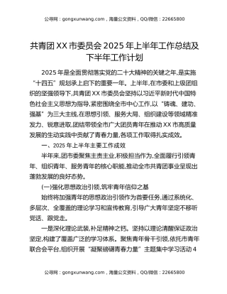 共青团XX市委员会2025年上半年工作总结及下半年工作计划