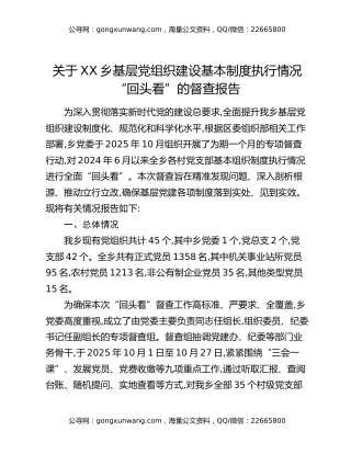 关于XX乡基层党组织建设基本制度执行情况“回头看”的督查报告