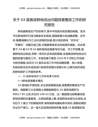 关于XX县推进耕地流出问题排查整改工作的研究报告