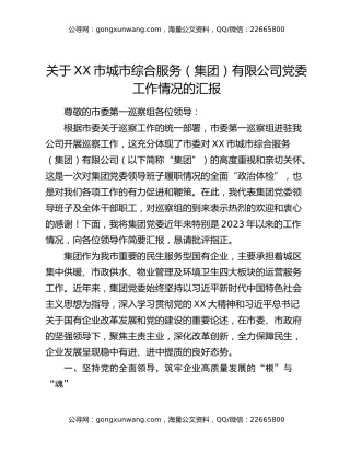 关于XX市城市综合服务（集团）有限公司党委工作情况的汇报