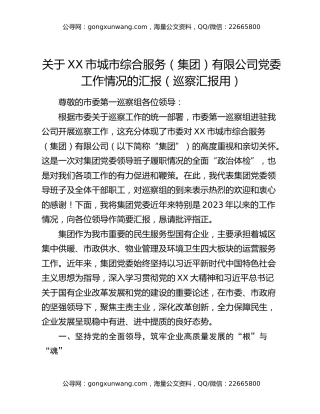 关于XX市城市综合服务（集团）有限公司党委工作情况的汇报（巡察汇报用）