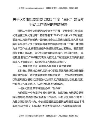 关于XX市纪委监委2025年度“三化”建设年行动工作情况的总结报告