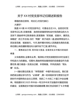 关于XX村党支部书记任期述职报告