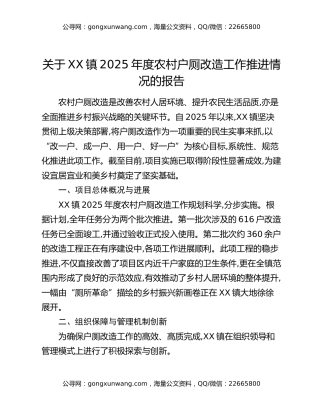 关于XX镇2025年度农村户厕改造工作推进情况的报告