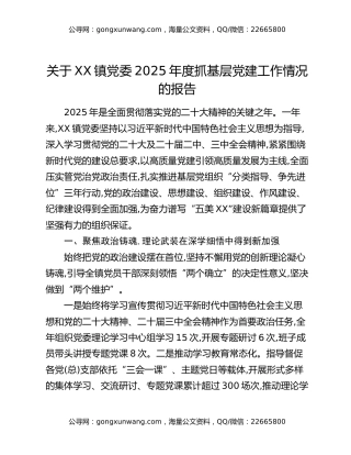 关于XX镇党委2025年度抓基层党建工作情况的报告