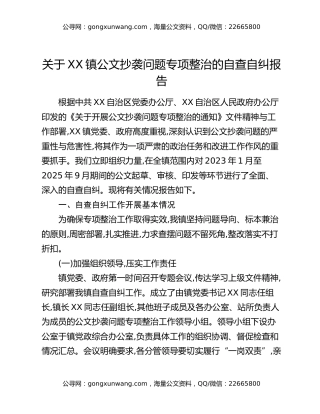关于XX镇公文抄袭问题专项整治的自查自纠报告