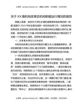 关于XX镇机构改革后机构职能运行情况的报告