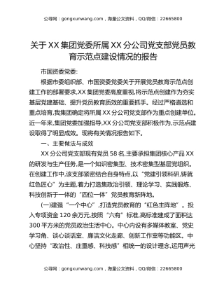 关于XX集团党委所属XX分公司党支部党员教育示范点建设情况的报告