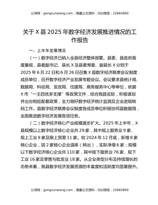 关于X县2025年数字经济发展推进情况的工作报告