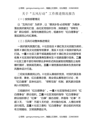 关于“五风行动”工作推进情况报告
