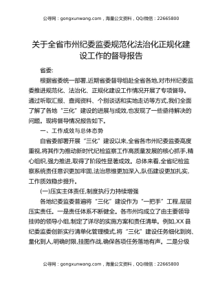 关于全省市州纪委监委规范化法治化正规化建设工作的督导报告（2）