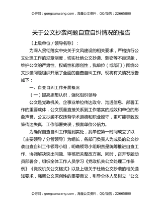 关于公文抄袭问题自查自纠情况的报告