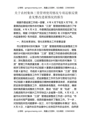 关于农村集体三资管理使用情况专项巡察反馈意见整改进展情况的报告