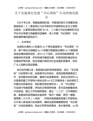 关于实施基层党建“书记领衔”行动的情况报告