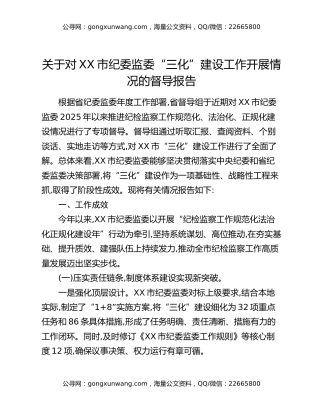 关于对XX市纪委监委“三化”建设工作开展情况的督导报告