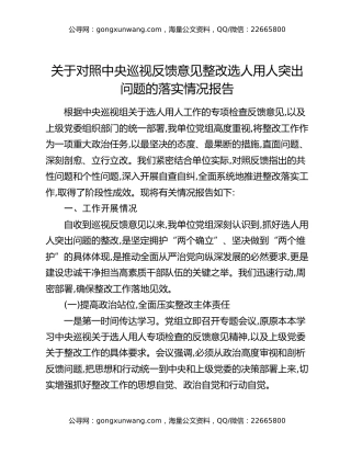 关于对照中央巡视反馈意见整改选人用人突出问题的落实情况报告