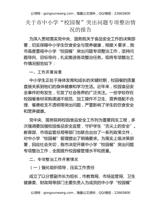 关于市中小学“校园餐”突出问题专项整治情况的报告