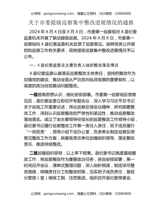 关于市委提级巡察集中整改进展情况的通报