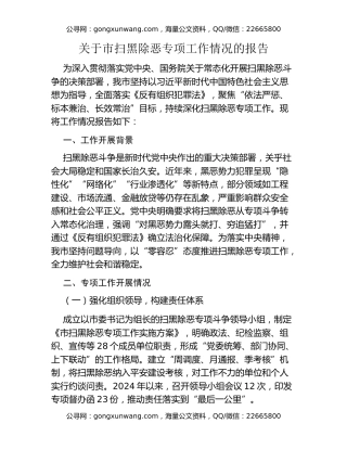 关于市扫黑除恶专项工作情况的报告