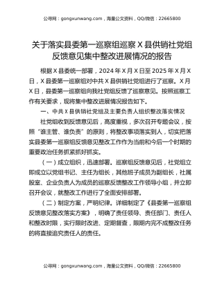 关于落实县委第一巡察组巡察X县供销社党组反馈意见集中整改进展情况的报告