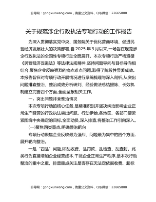 关于规范涉企行政执法专项行动的工作报告