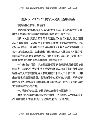 副乡长2025年度个人述职述廉报告