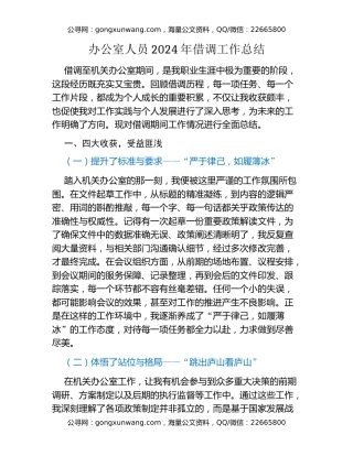 办公室人员2024年借调工作总结