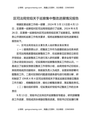 区司法局党组关于巡察集中整改进展情况报告