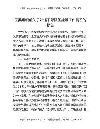 区委组织部关于年轻干部队伍建设工作情况的报告