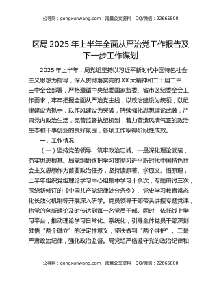 区局2025年上半年全面从严治党工作报告及下一步工作谋划