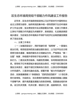 区生态环境局党组干部能力作风建设工作报告
