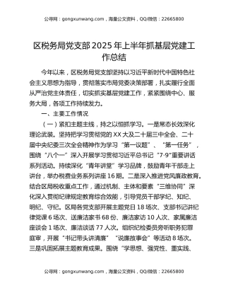 区税务局党支部2025年上半年抓基层党建工作总结