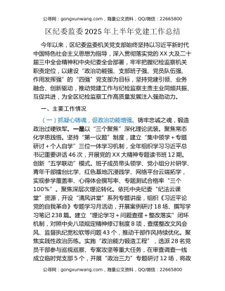 区纪委监委2025年上半年党建工作总结