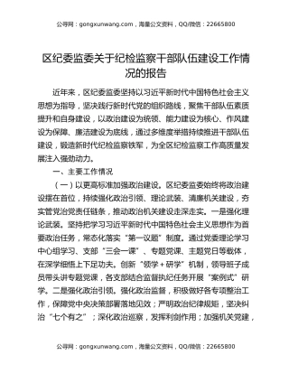 区纪委监委关于纪检监察干部队伍建设工作情况的报告