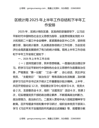 区统计局2025年上半年工作总结和下半年工作安排