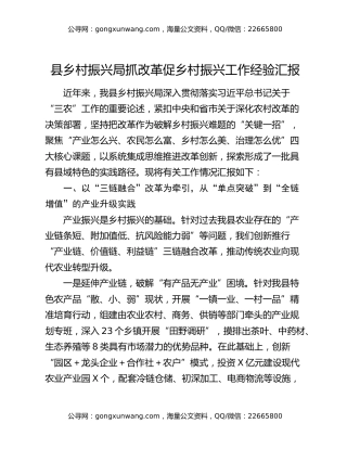 县乡村振兴局抓改革促乡村振兴工作经验汇报