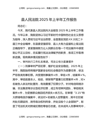 县人民法院2025年上半年工作报告