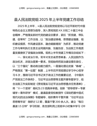 县人民法院党组2025年上半年党建工作总结