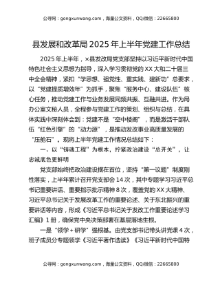 县发展和改革局2025年上半年党建工作总结