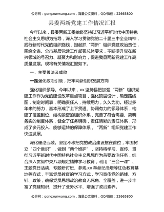 县委两新党建工作情况汇报